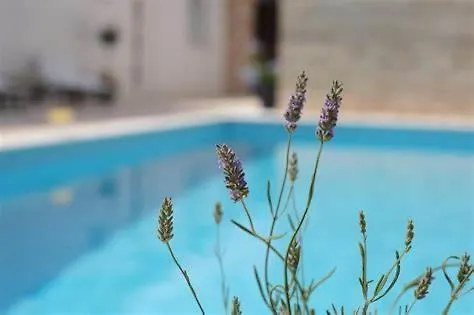 בית נופש Donje Rastane Rural Home With Heated Pool Rastane
