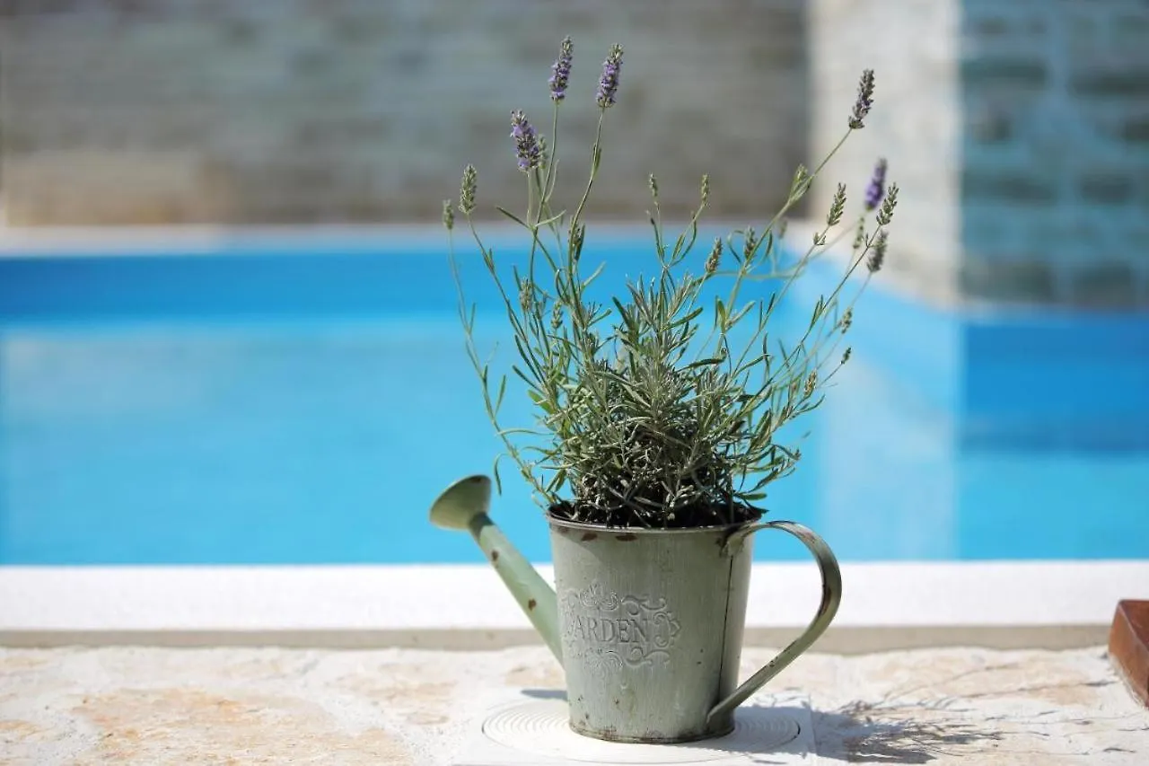 Donje Rastane Rural Home With Heated Pool Rastane בית נופש Donje Rastane